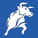 BlackBull Partners logo